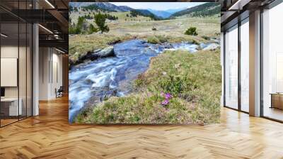 spring stream of perafita river in top of valley Wall mural