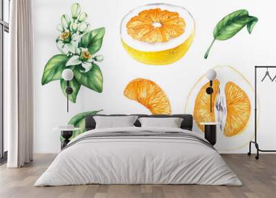 Watercolor Pomelo on white background Wall mural