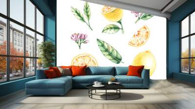 Watercolor set with lemons, leaves and flowers Wall mural