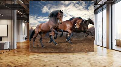 wild jump bay horses Wall mural