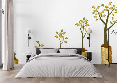 Five stages of growing money tree Wall mural