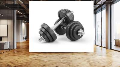 Pair of gym dumbbells isolated on transparent background Wall mural