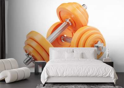 Pair of gym dumbbells isolated on white background Wall mural