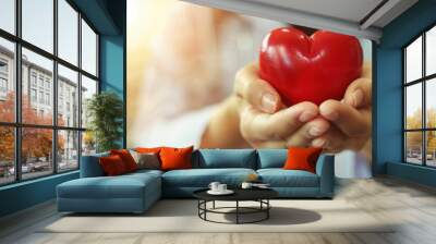 Hands holding a heart for healthcare, hospital, insurance, mental health care, medical, world mental health, protective, doctor caregiver and check up patient concept Wall mural