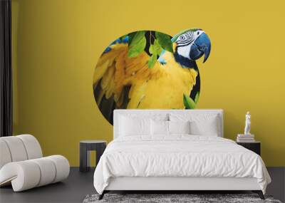 Digital collage 3D modern art, Yellow Macaw parrot, on yellow backgrounds Wall mural