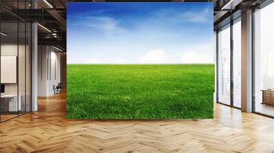 Green grass field under clear blue sky and white clouds Wall mural