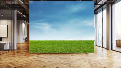 Green grass field with blue sky and white clouds background Wall mural