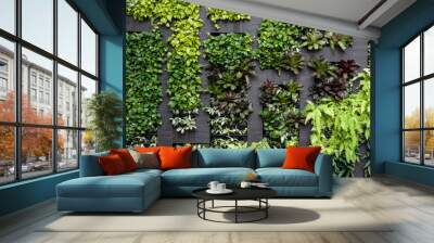 Green wall, eco friendly vertical garden  Wall mural