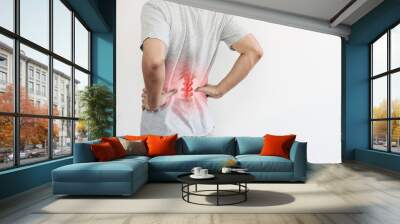 Office syndrome, Backache and Lower Back Pain Concept. a man touching his lower back at pain point Wall mural