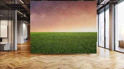 Starry sky with sunlight over green grass Wall mural