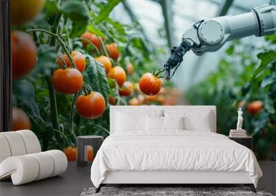 A robotic arm picking ripe tomatoes in a high-tech greenhouse, showcasing automation in farming Wall mural