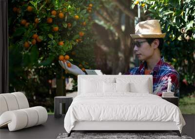 Asian farmer hand with tablet and grove show his organic orange tree field farm,Concept ecology, technology farmers, clean air, food, biology product Wall mural