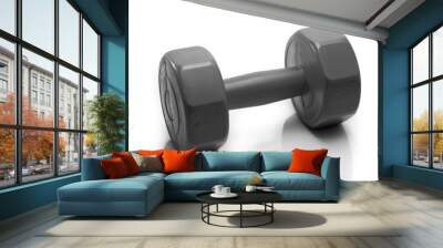 Dumbbell isolate on white background Wall mural