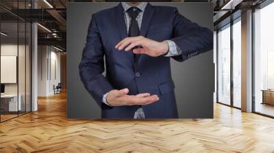 Portrait of young happy smiling cheerful Asian business man hand showing blank copy space Wall mural