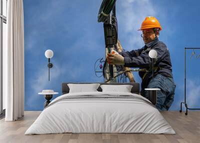 A technician working on ladder carefully for maintenance fiber optic wires attached to electric poles. Safety equipment and Operational safety. Wall mural