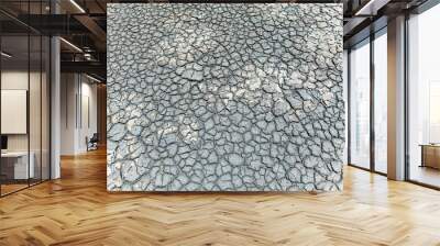 crack soil surface Wall mural