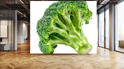 Picked broccoli isolated on transparent background. Generative Ai.

 Wall mural