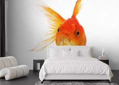 fish gold on white background Wall mural