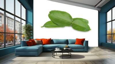 Green leaf, Bergamot  Leaf  (kaffir lime) isolated on transparent background. (.PNG) Wall mural