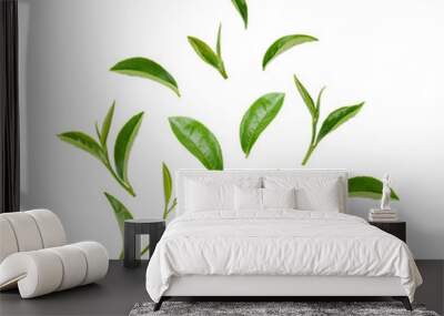 Green tea leaves isolated on transparent background. (.PNG) Wall mural