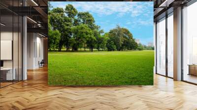 green grass field in big city park Wall mural