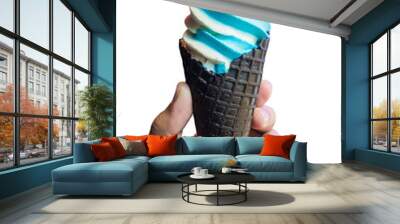 Hand holding of soft serve ice cream isolated on white background,clipping path. Wall mural