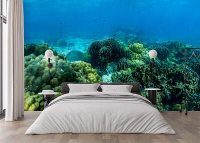 underwater scene with coral reef and fish,phi phi island,Thailand. Wall mural