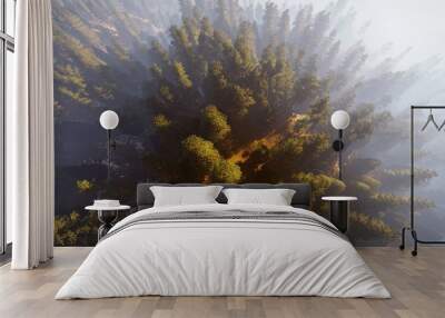 aerial view of a north american forest at fall 3d rendering Wall mural