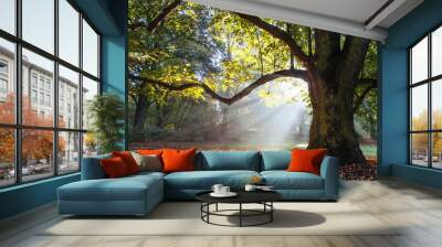 mighty oak tree Wall mural