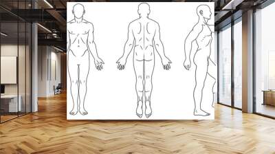 Human body front, back and side views Wall mural