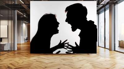 Aggression and abuse concept - man and woman expressing domestic violence in studio silhouette isolated on white background. Wall mural