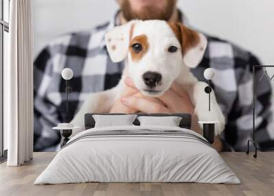 people, pets and animals concept - close up of young man holding jack russell terrier puppy on white background Wall mural