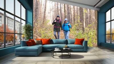 Travel, tourism, hike and nature concept - Tourists walking in park with backpack dressed in blue and black jackets Wall mural