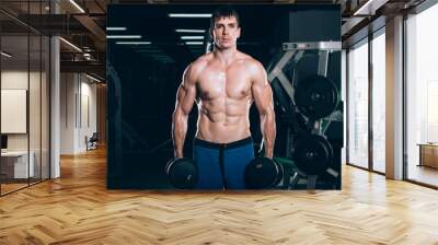 sport, fitness, lifestyle and people concept - Muscular bodybuilder guy doing exercises with dumbbells in gym. Wall mural