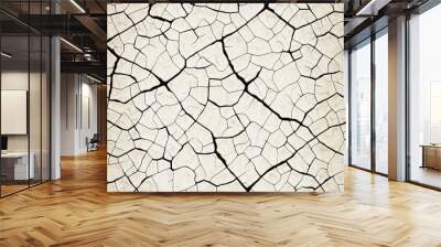 Seamless broken cracks background texture. Cracked ice backdrop , white cracked paint, cracking white background  Wall mural