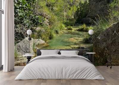 Blue river with green nature Wall mural