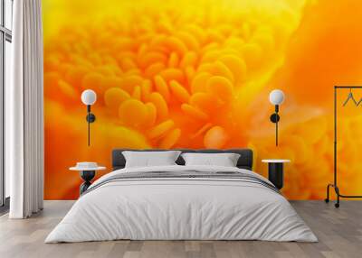 Yellow pepper with seeds inside is macro Wall mural