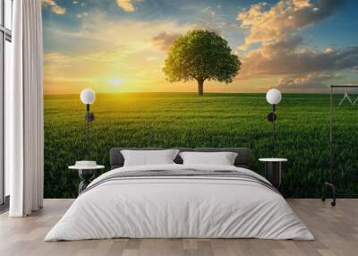 A vast green field with a solitary tree in the center, illuminated by the warm rays of the setting sun. Wall mural