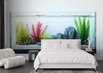 An isolated fish tank aquarium, without water or aquatic life, positioned on a white background. Wall mural