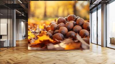 Closeup of a pile of acorns on the forest ground, surrounded by fallen orange and yellow leaves, capturing the essence of autumn Wall mural