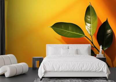 Simple orange and leaf background, minimalist design, bright space for copy text Wall mural