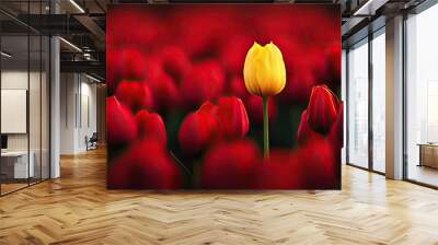 The striking image of a yellow tulip standing tall among red tulips, with a blurred background enhancing the contrast. Wall mural