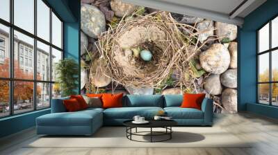 Old nest with one egg Wall mural