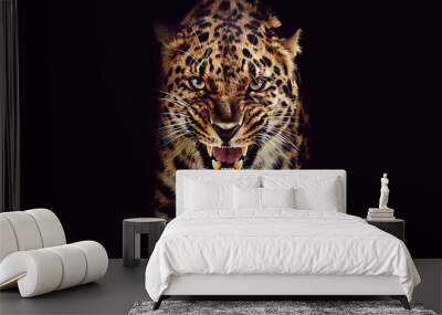 Leopard growls, isolated portrait on black background Wall mural