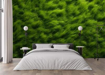 Green grass texture top view. Wall mural