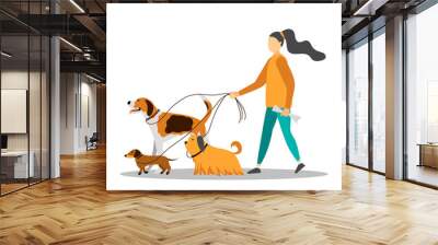 Young woman walking with five dogs. Wall mural