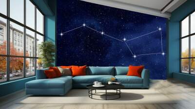 Amazing starry night sky with Ursa Major constellation or the Great Bear and the Big Dipper constellation Wall mural