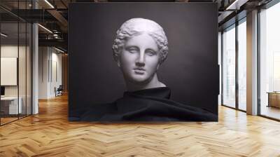 Gypsum bust isolated on black background, student work Wall mural