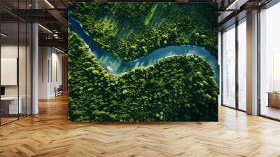 Top view of blue river Wall mural