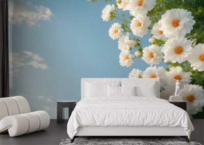 A vibrant wallpaper capturing a white flower field filled with clusters of daisies and baby breath, enhancing the beauty of springtime. Wall mural